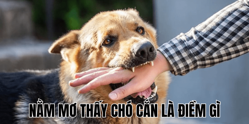 Ảnh Thumb bài viết (10) min