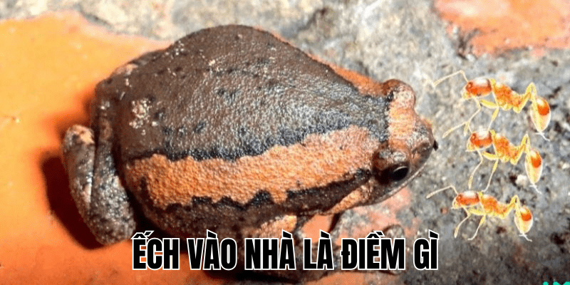 Ảnh Thumb bài viết (11) min