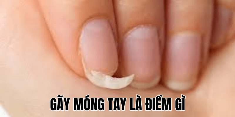Ảnh Thumb bài viết (15) min