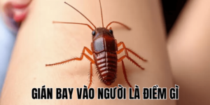 Ảnh Thumb bài viết (16) min