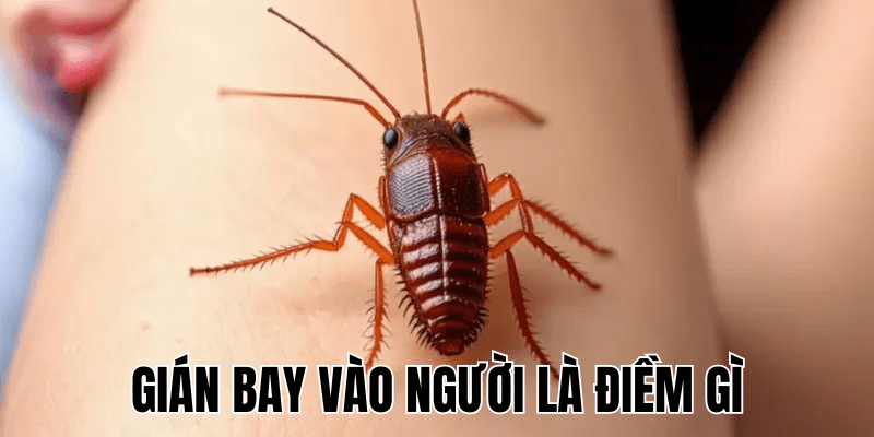 Ảnh Thumb bài viết (16) min