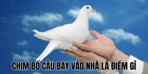 Ảnh Thumb bài viết (16) min