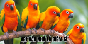 Ảnh Thumb bài viết (19) min