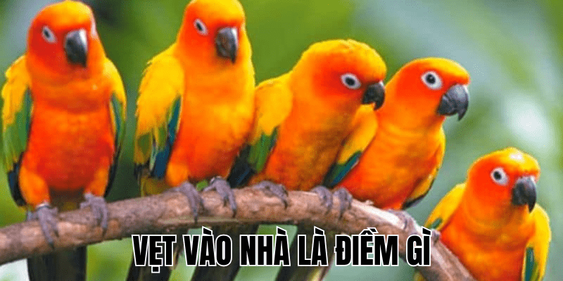 Ảnh Thumb bài viết (19) min