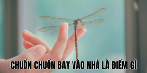 Ảnh Thumb bài viết (2) min