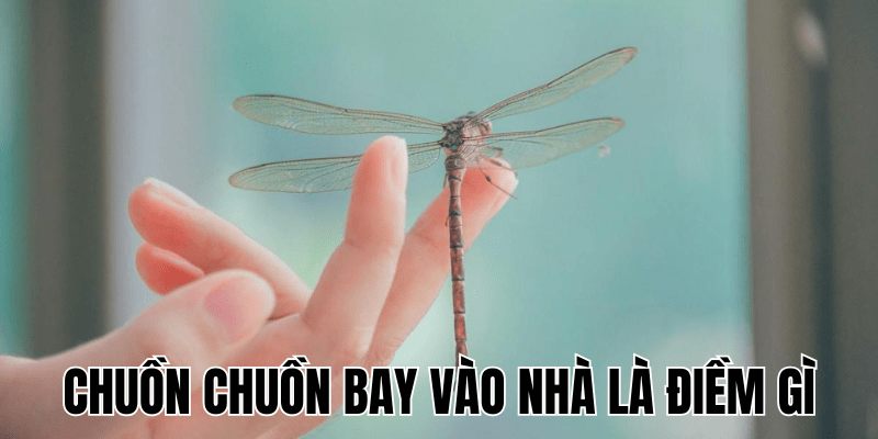 Ảnh Thumb bài viết (2) min