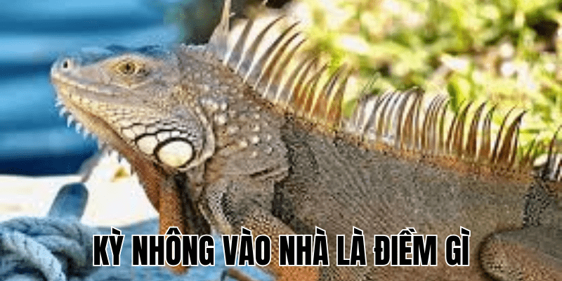 Ảnh Thumb bài viết (2) min