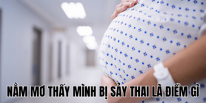 Ảnh Thumb bài viết (20) min