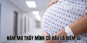 Ảnh Thumb bài viết (21) min
