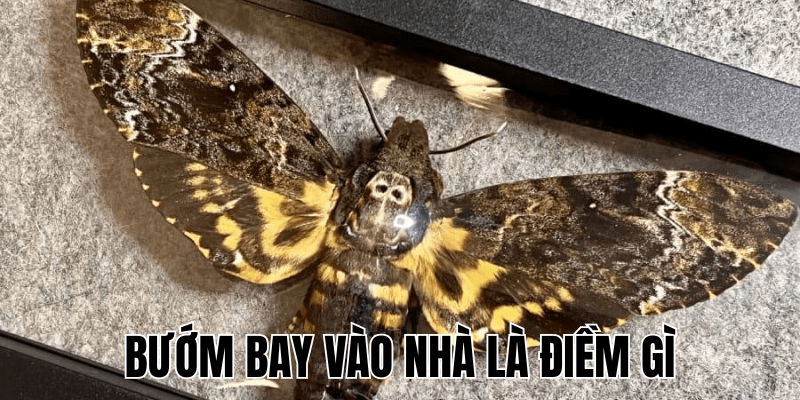 Ảnh Thumb bài viết (21) min