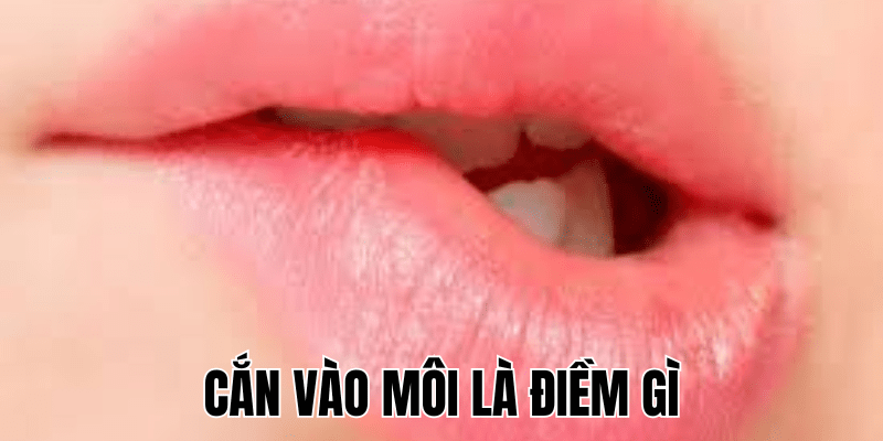 Ảnh Thumb bài viết (24) min