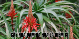 Ảnh Thumb bài viết (25) min