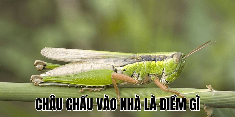 Ảnh Thumb bài viết (26) min