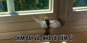 Ảnh Thumb bài viết (27) min