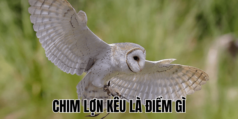 Ảnh Thumb bài viết (28) min