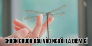 Ảnh Thumb bài viết (3) min