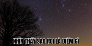 Ảnh Thumb bài viết (3) min