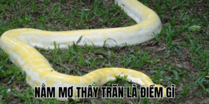 Ảnh Thumb bài viết (31) min