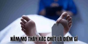 Ảnh Thumb bài viết (34) min