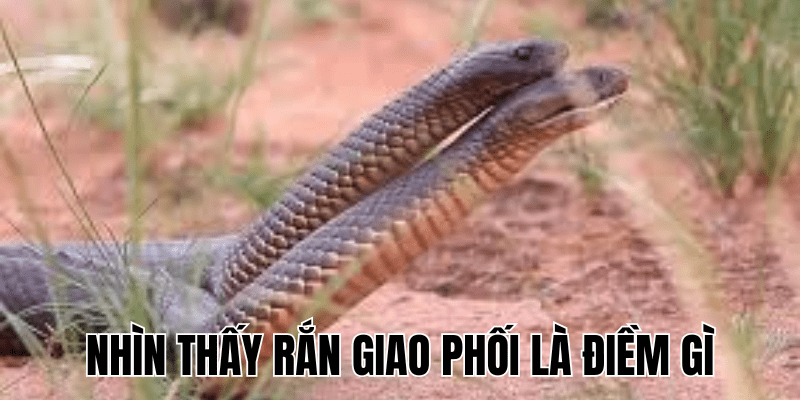 Ảnh Thumb bài viết (37) min