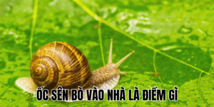 Ảnh Thumb bài viết (39) min