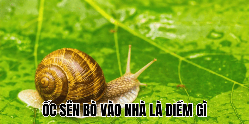 Ảnh Thumb bài viết (39) min