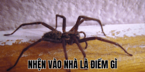 Ảnh Thumb bài viết (4) min