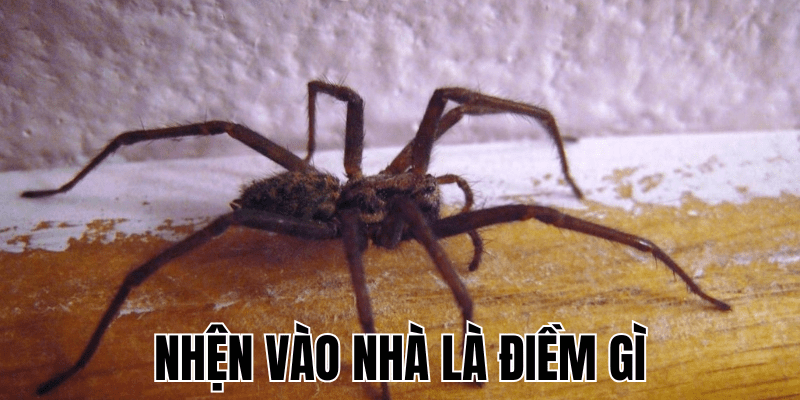 Ảnh Thumb bài viết (4) min