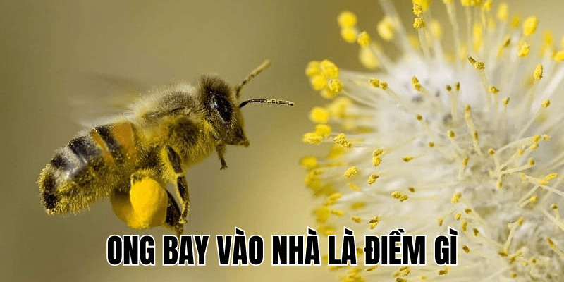 Ảnh Thumb bài viết (41) min