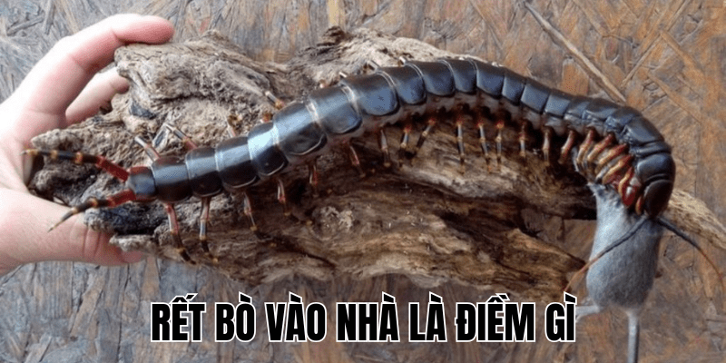 Ảnh Thumb bài viết (42) min