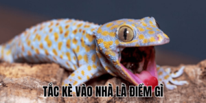 Ảnh Thumb bài viết (45) min