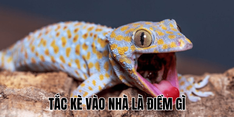 Ảnh Thumb bài viết (45) min