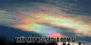 Ảnh Thumb bài viết (47) min