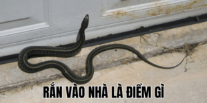 Ảnh Thumb bài viết (5) min