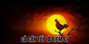 Ảnh Thumb bài viết (6) min