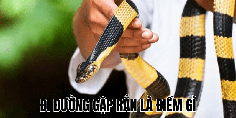 Ảnh Thumb bài viết (8) min