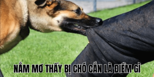 Ảnh Thumb bài viết (8) min