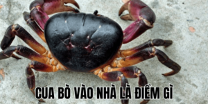 Ảnh Thumb bài viết min