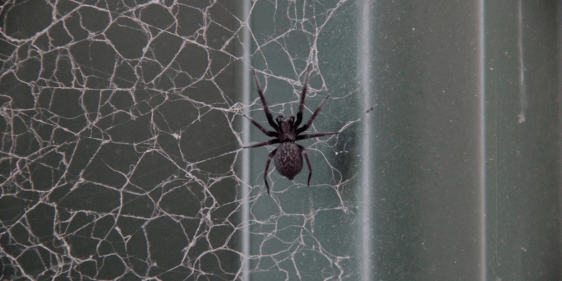 warhammerlore.com (13) min