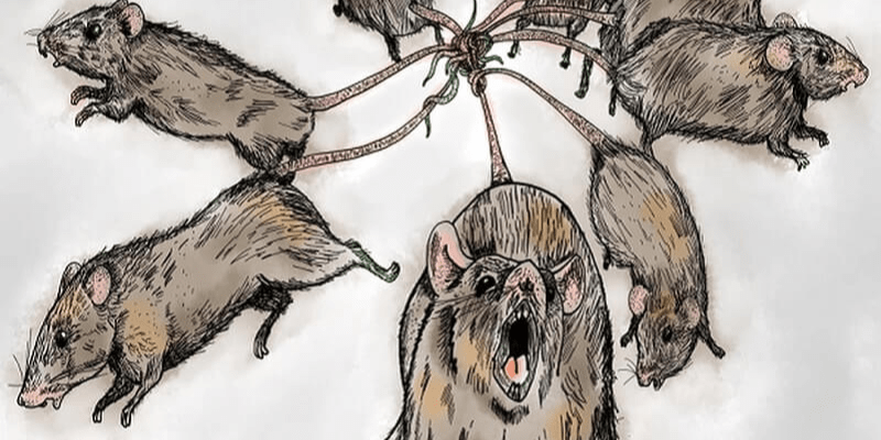 warhammerlore.com 2025 04 09T135410.867 min