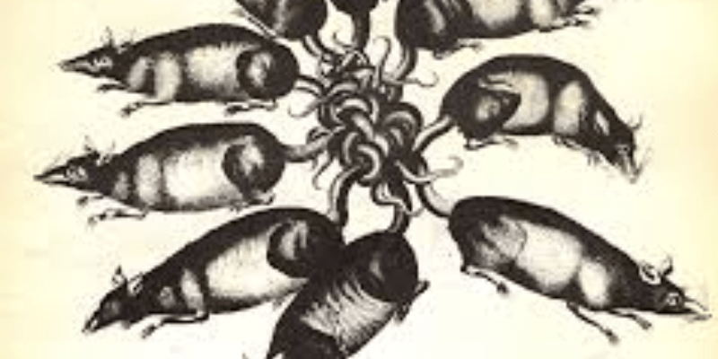 warhammerlore.com 2025 04 09T135505.953 min