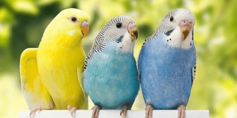 warhammerlore.com (54) min