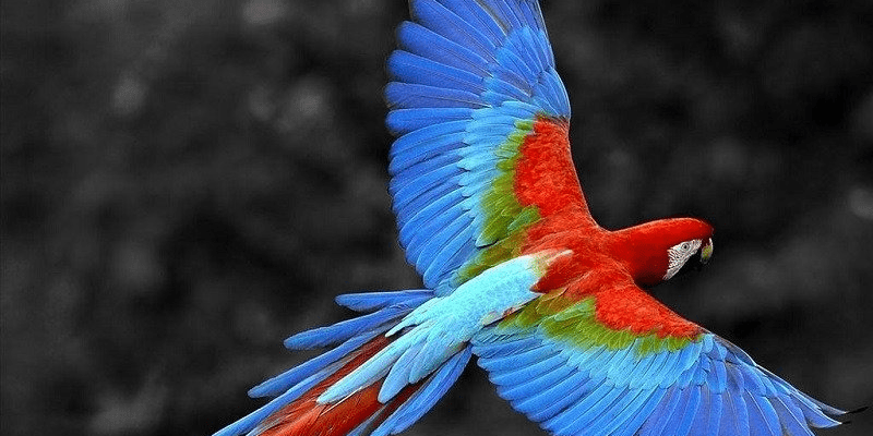 warhammerlore.com (55) min