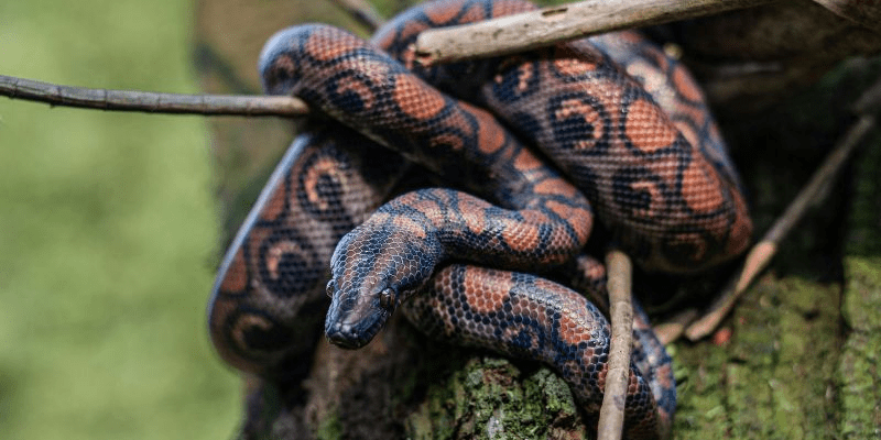 warhammerlore.com (57) min