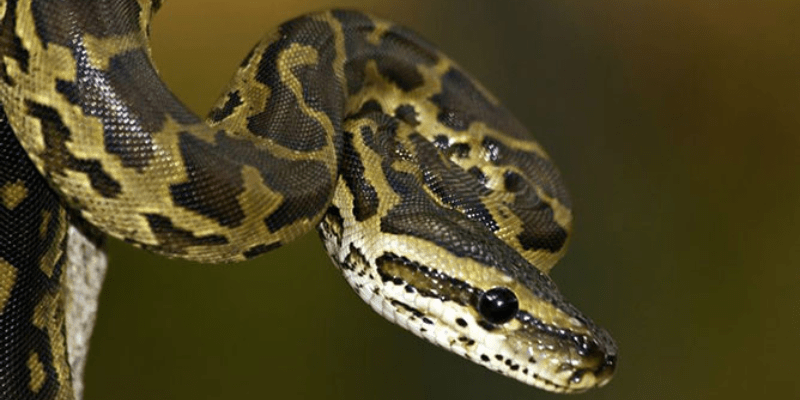 warhammerlore.com (58) min