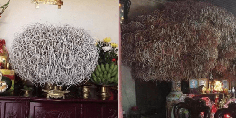 warhammerlore.com (95) min